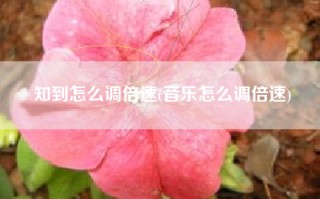 知到怎么调倍速(音乐怎么调倍速)