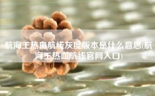 航海王热血航线灰度版本是什么意思(航海王热血航线官网入口)