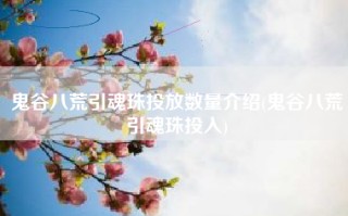鬼谷八荒引魂珠投放数量介绍(鬼谷八荒引魂珠投入)