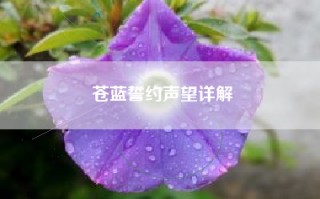 苍蓝誓约声望详解