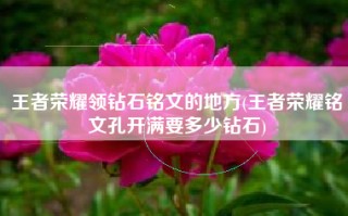 王者荣耀领钻石铭文的地方(王者荣耀铭文孔开满要多少钻石)