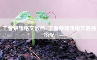 王者荣耀铭文数目_王者荣耀凯铭文最强搭配