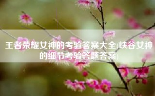 王者荣耀女神的考验答案大全(峡谷女神的细节考验答题答案)