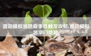 渡劫模拟器隐藏事件触发攻略(渡劫模拟器宗门隐藏)
