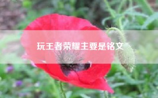 玩王者荣耀主要是铭文