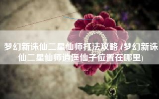 梦幻新诛仙二星仙师打法攻略 (梦幻新诛仙二星仙师逍遥仙子位置在哪里)