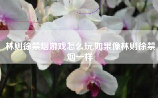林则徐禁烟游戏怎么玩,如果像林则徐禁烟一样