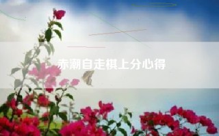 赤潮自走棋上分心得