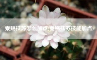 秦殇扶苏怎么加点(秦殇扶苏技能加点)