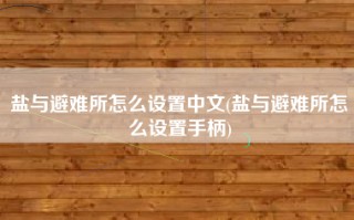 盐与避难所怎么设置中文(盐与避难所怎么设置手柄)
