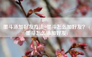 墨斗添加好友方法_墨斗怎么加好友？ (墨斗怎么添加好友)