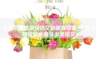 王者荣耀铠最强铭文和最强吸血_王者荣耀程咬金最强出装铭文