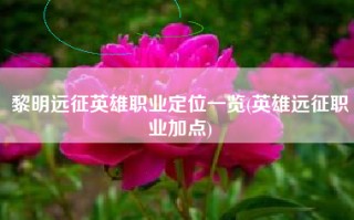 黎明远征英雄职业定位一览(英雄远征职业加点)
