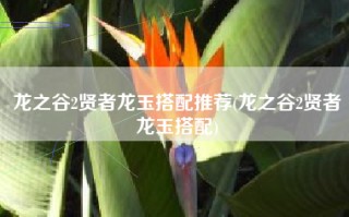 龙之谷2贤者龙玉搭配推荐(龙之谷2贤者龙玉搭配)