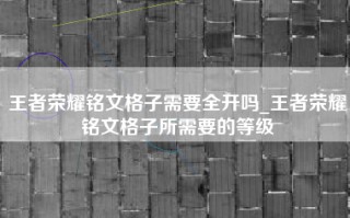 王者荣耀铭文格子需要全开吗_王者荣耀铭文格子所需要的等级
