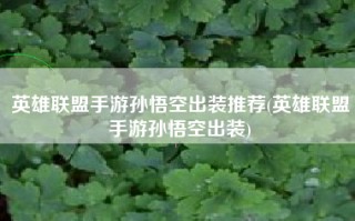 英雄联盟手游孙悟空出装推荐(英雄联盟手游孙悟空出装)