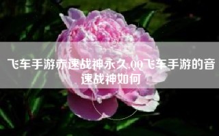 飞车手游赤速战神永久,QQ飞车手游的音速战神如何