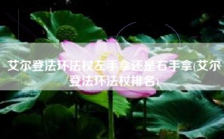艾尔登法环法杖左手拿还是右手拿(艾尔登法环法杖排名)