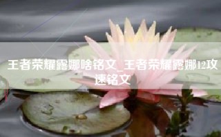 王者荣耀露娜啥铭文_王者荣耀露娜12攻速铭文