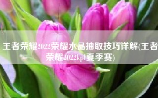 王者荣耀2022荣耀水晶抽取技巧详解(王者荣耀2022kpl夏季赛)