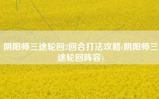 阴阳师三途轮回2回合打法攻略(阴阳师三途轮回阵容)