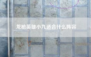 龙枪英雄小九适合什么阵容