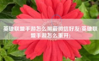 英雄联盟手游怎么屏蔽微信好友(英雄联盟手游怎么重开)