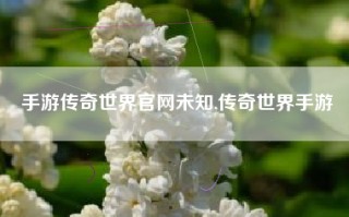 手游传奇世界官网未知,传奇世界手游