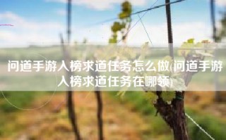 问道手游入榜求道任务怎么做(问道手游入榜求道任务在哪领)