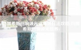 玛娜希斯回响汲光训练场打法攻略(玛娜希斯回响汲光培养)