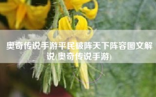 奥奇传说手游平民破阵天下阵容图文解说(奥奇传说手游)