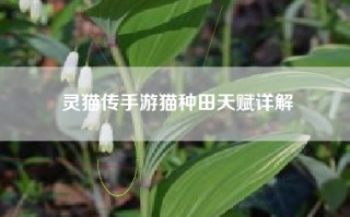 灵猫传手游猫种田天赋详解