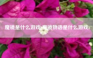 魔镜是什么游戏(魔镜物语是什么游戏)