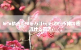 原神精通流枫原万叶玩法攻略(原神精通流什么意思)