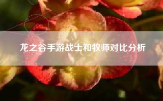 龙之谷手游战士和牧师对比分析