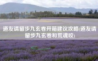道友请留步九玄卷开箱建议攻略(道友请留步九玄卷和荒魂咬)