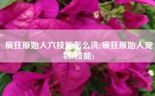 疯狂原始人六技能怎么洗(疯狂原始人宠物6技能)