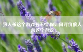 狼人杀这个游戏看不懂,你如何评价狼人杀这个游戏