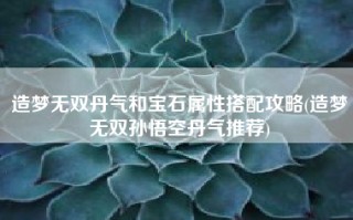 造梦无双丹气和宝石属性搭配攻略(造梦无双孙悟空丹气推荐)