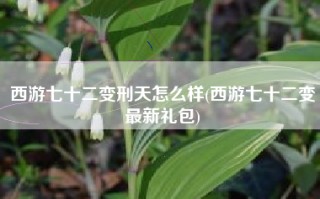 西游七十二变刑天怎么样(西游七十二变最新礼包)