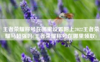 王者荣耀称号在哪里设置附上2022王者荣耀马超强吗(王者荣耀称号在哪里领取)