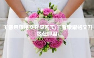 王者荣耀铭文升级购买(王者荣耀铭文升级在哪里)