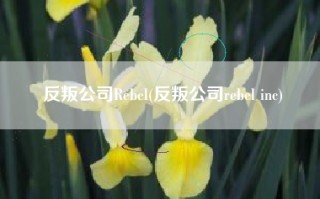反叛公司Rebel(反叛公司rebel inc)