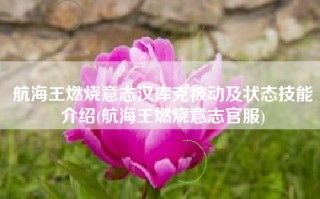 航海王燃烧意志汉库克被动及状态技能介绍(航海王燃烧意志官服)
