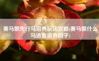 赛马娘先行马培养玩法攻略(赛马娘什么马适合培养因子)