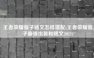 王者荣耀猴子铭文怎样塔配(王者荣耀猴子最强出装和铭文2021)