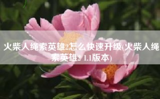 火柴人绳索英雄2怎么快速升级(火柴人绳索英雄2 1.1版本)