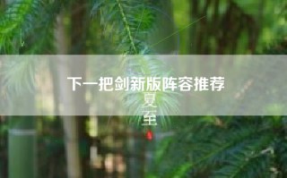 下一把剑新版阵容推荐
