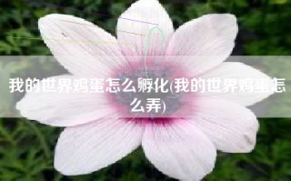 我的世界鸡蛋怎么孵化(我的世界鸡蛋怎么弄)