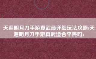 天涯明月刀手游真武最详细玩法攻略(天涯明月刀手游真武适合平民吗)